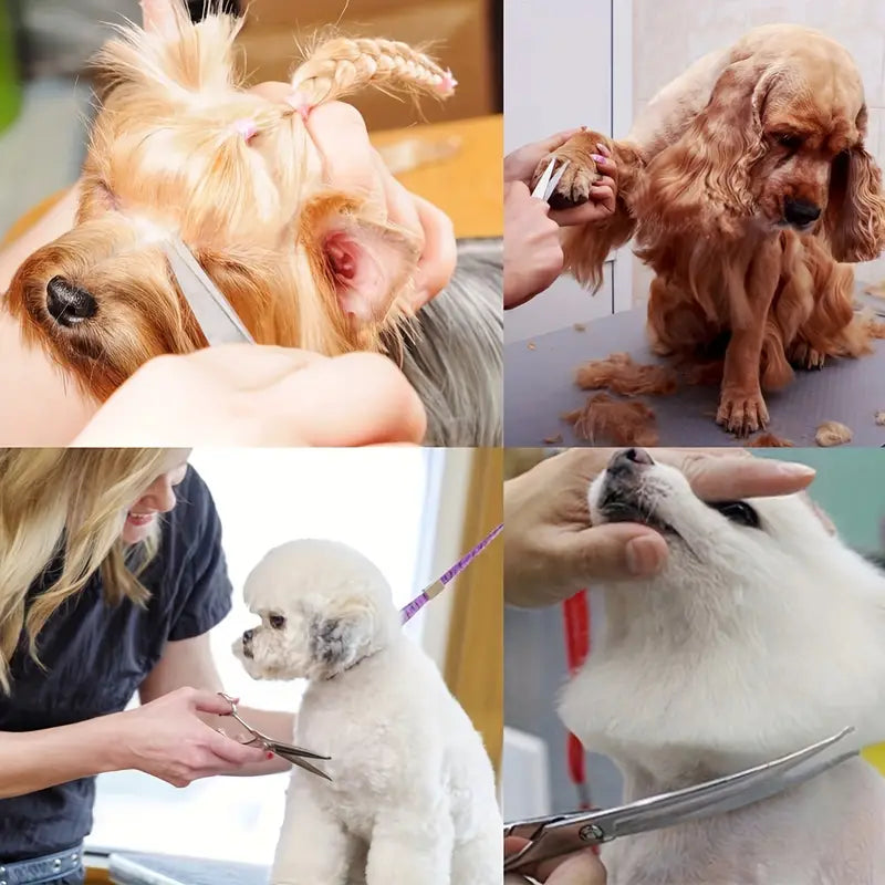 6-Delige Professionele Huisdierverzorgingsschaarset – Voor Honden en Katten